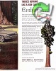 GM 1960 296.jpg